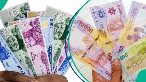 Naira missing as report shows top 10 strongest currencies in Africa in 2025