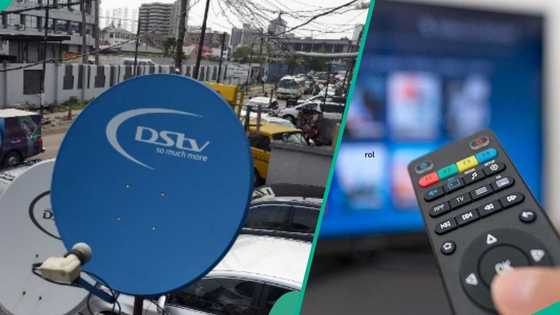 DStv officially launches 5 new packages, releases new pricing and brand colour