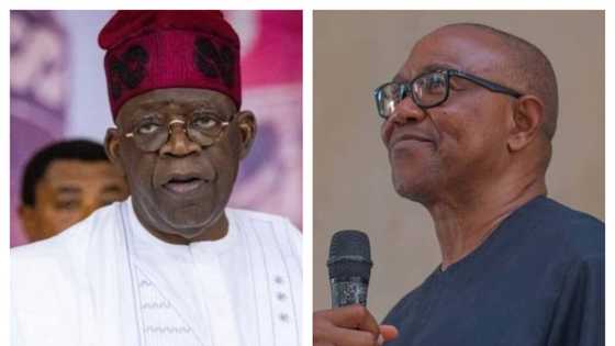 2023: “Suddenly, a structureless, social media candidate is now their headache”, Peter Obi to Tinubu’s camp