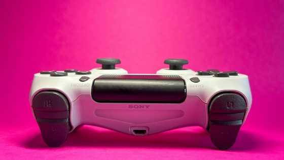 Funding game development through community support models