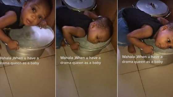 "Drama queen": Little girl lays down on pot, pretends to be asleep after sighting her mother in kitchen
