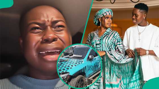 Peller breaks silence after controversial crash, reacts to cheating allegation against Jarvis