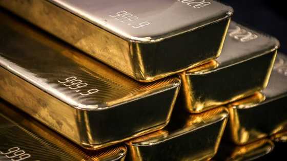 Gold jumps to record on rate cut bets but equities struggle