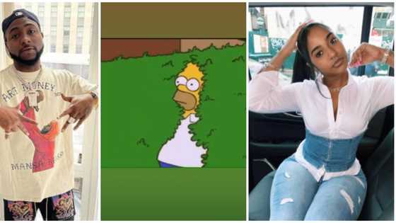 Kissing saga: Singer Davido finally reacts, shares 'hiding in the bush' GIF