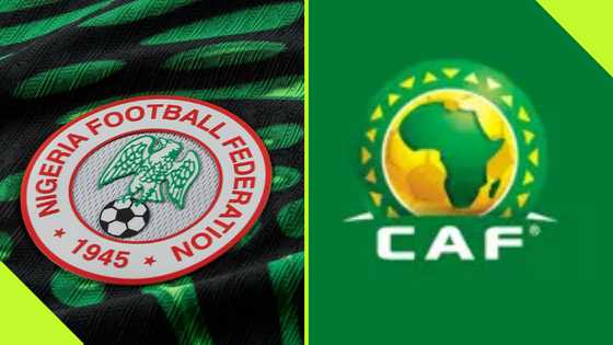 Libya vs Nigeria: West African countries back NFF's request ahead of CAF's verdict, reports