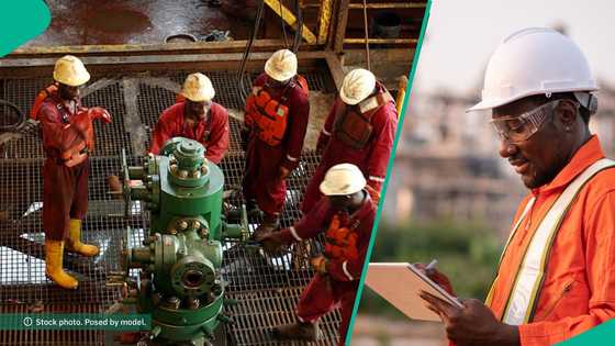 Oil company announces job vacancies for Nigerians, lists requirements for each role
