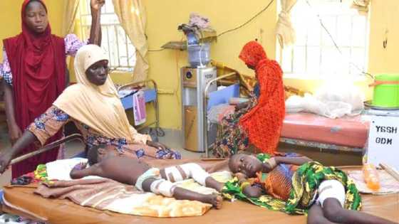 Yobe: Jama'ar da jirgin NAF ya yi wa luguden wuta suna bukatar diyya