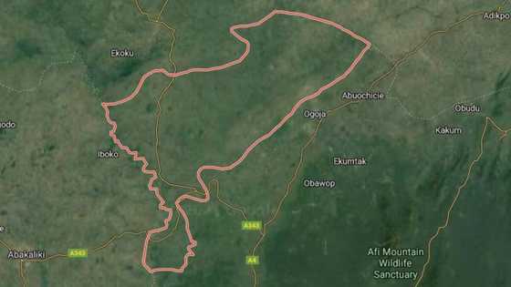 Luguden harbe-harben cikin dare yayi ajalin rayuka 5 a Cross River