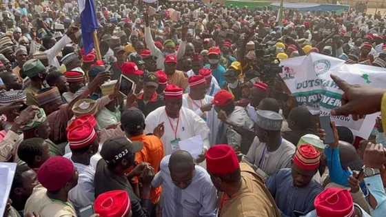 Ba za ta yiwu Kwankwaso ya zama Mataimakin Peter Obi idan an hade ba inji Jibrin