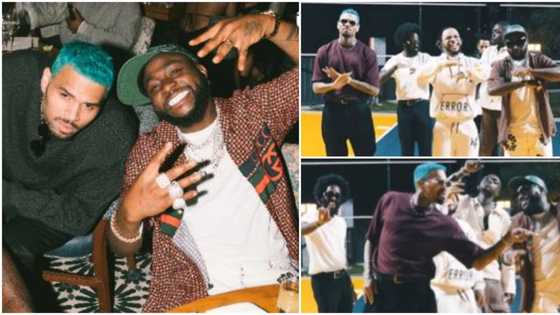 "Follow who know road": Davido flies Poco Lee out to meet Chris Brown, shares video of Unavailable challenge