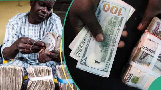 Forex traders sell pound, euro at new exchange rate as Naira depreciates