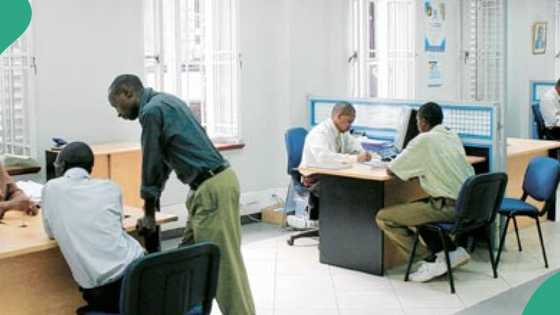 Zenith Bank, Access, others send loan updates to customers after CBN's order