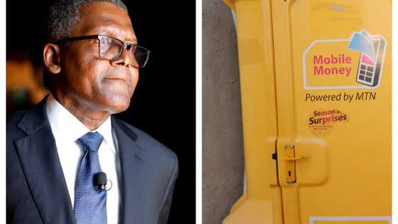 Dangote, other big companies borrow over N200bn from high net-worth persons via commercial papers in 2 months