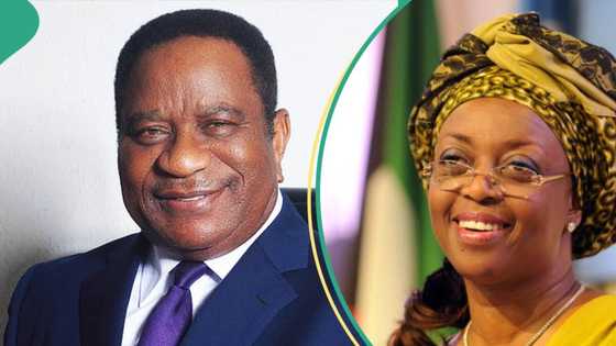 “Stop using my name”: Drama as Diezani’s former husband drags ex-minister to court, details emerge
