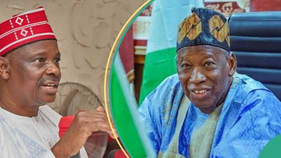 "Daman Kwankwaso bai son Ganduje tun a tashin farko", Farfesa a Kano ya magantu