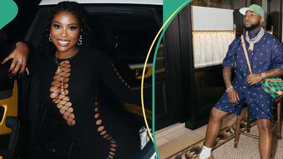 Did Sophia groom Davido? Real truth emerges as viral age claim about singer faces reality check