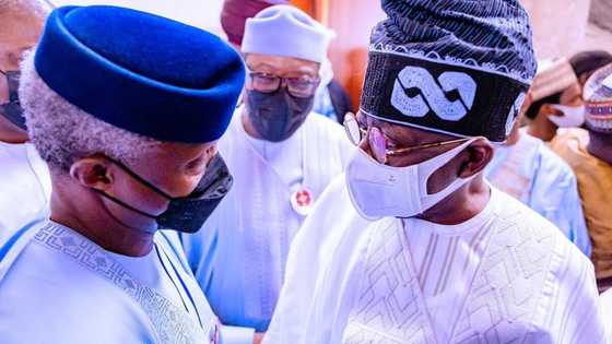 2023 presidency: Aregbesola may back VP as Tinubu, Osinbajo supporters clash