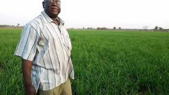 'Yan bindiga sun bi wani tsohon Sanatan arewa har gida sun yi awon gaba da shi