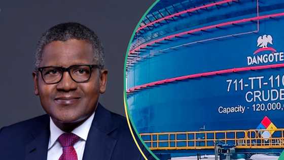 Dangote refinery’s operation crashes petrol importation from European markets