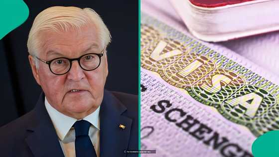 Germany lists 5 categories of foreigners who can get Schengen visa for free
