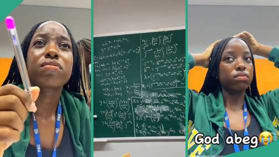 University student studying economics cries after seeing mathematical calculations during lectures