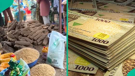 Understanding bride price in Igbo culture: Traditions, legal views, and the cost of marriage