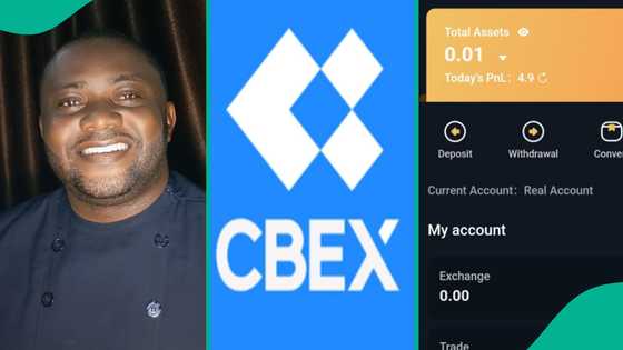 Man who correctly predicted crash of Cbex said people laughed at him after he sounded alarm