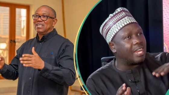 2027 election: ‘Why Peter Obi will not get ADC, PDP, LP presidential ticket’, Bwala explains in trending video