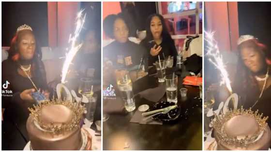 Angry lady suddenly gets furious at her birthday dinner and destroys big cake, video stirs mixed reactions
