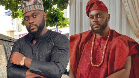 Interesting facts about Ayo Ayoola: State of origin, family, movies, is he married?