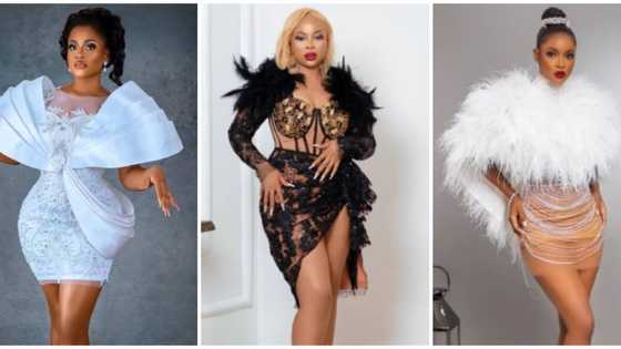 Bella, 7 other BBNaija stars serve legs in stylish looks at Phyna's winner party