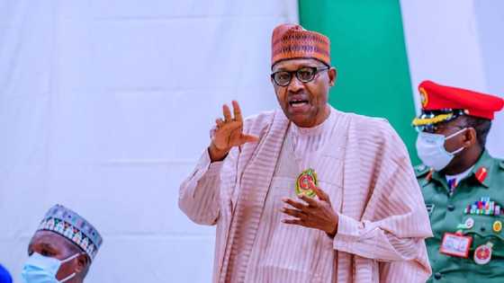Buhari finally explains why insecurity will linger in Nigeria