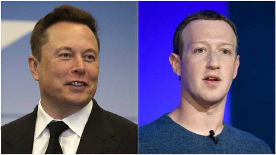 Will he also overtake Bill Gates soon? Elon Musk beats Mark Zuckerberg, becomes world's third richest person (here is how much he's worth)