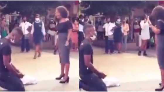 Massive reactions as video shows lady rejecting her man's public marriage proposal