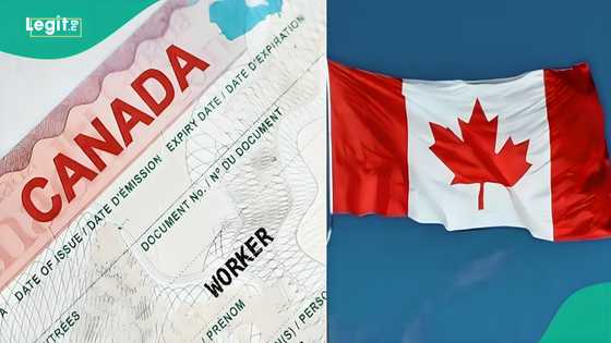 Japa: Canada invites carpenters, plumbers, technicians from Nigeria, others