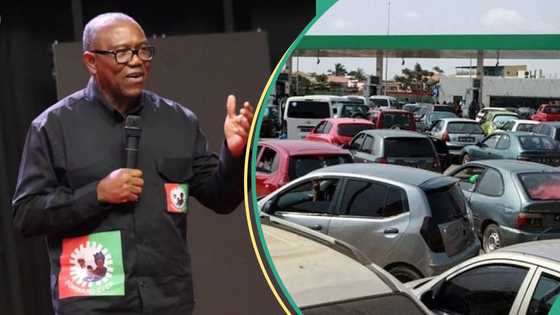 Fuel scarcity: Peter Obi blasts NNPC, "further proof of administration's gross incompetence"