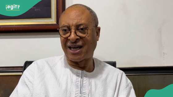 Zaben 2027: "'Yan adawa na gagarumin shirin kifar da gwamnatin APC", Utomi