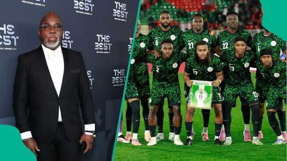 Former NFF president Amaju Pinnick backs local coach to replace Eric Chelle as Super Eagles manager