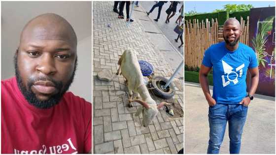 Salah gift: Nigerian man buys phone for sister, receives call that he won ram, celebrates