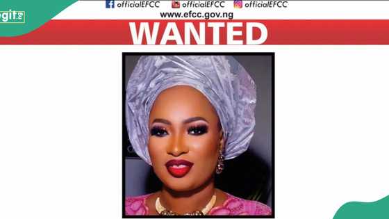 City Boy Movement suspends Tejuosho after EFCC declared her wanted