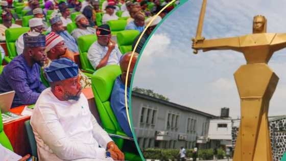 Anxiety as Appeal Court declares Jigawa House of Reps seat vacant