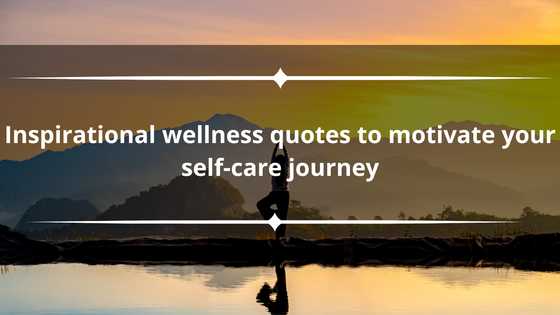 60 inspirational wellness quotes to motivate your self-care journey