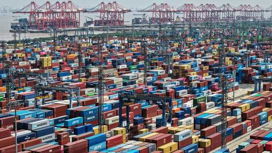 IMF slashes China growth forecasts as trade war deepens