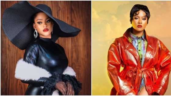 “I am surprised”: BBNaija’s Phyna denies claims of getting rid of pregnancy days after being dragged online