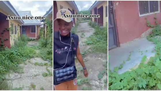 "ASUU, una try o": Video shows students' hostel overgrown by tall grasses, people react