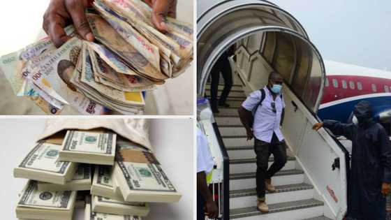 Thank you for understanding: Foreign airlines announces plan to sell tickets to Nigerians in dollars