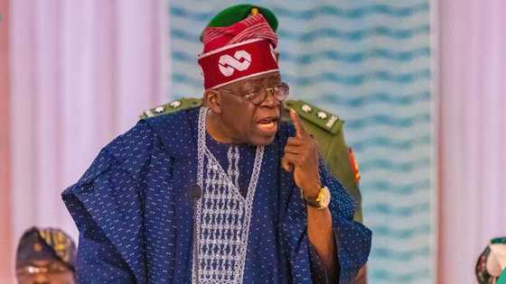 Tinubu reacts to latest killings in Plateau, “We can no longer ignore”