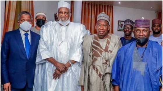Dangote gets top appointment from influential APC governor
