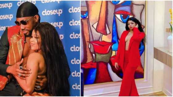 “Na rubbish them kon do this year”: Clip of BBNaija’s Deji and Chi Chi getting freaky in bed upsets fans