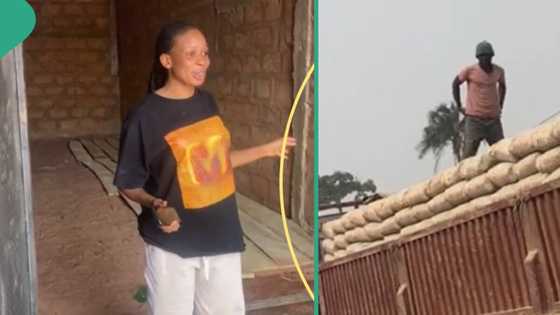 Nigerian lady starts cement business, brings huge truck to offload hundreds of it
